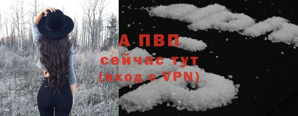 PSILOCYBIN Карталы