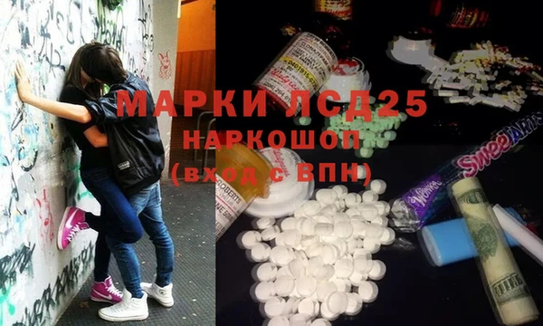 PSILOCYBIN Карталы