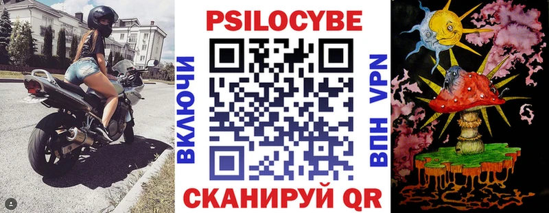 Купить закладки  Малмыж  Галлюциногенные грибы Magic Shrooms 